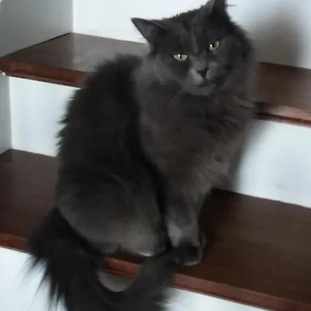 La Demeure De Cathy Frühstückspension *