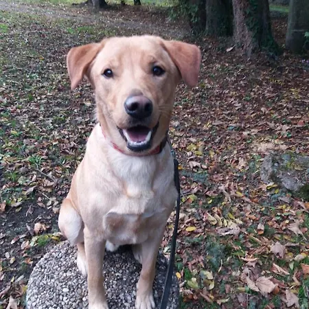 ベッド・アンド・ブレックファスト La Demeure De Cathy