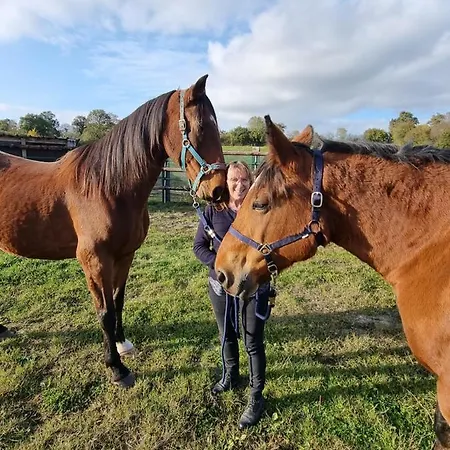 La Demeure De Cathy ベッド・アンド・ブレックファスト *