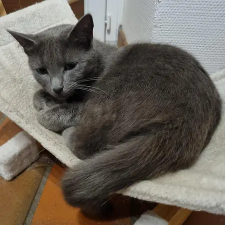 ベッド・アンド・ブレックファスト La Demeure De Cathy サン・ロー