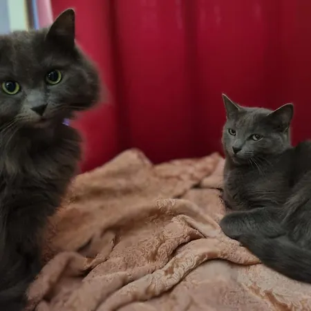 La Demeure De Cathy Frühstückspension