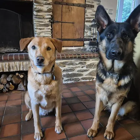 La Demeure De Cathy Frühstückspension Saint-Lô