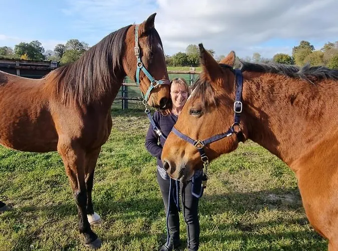 La Demeure De Cathy Bed and Breakfast *