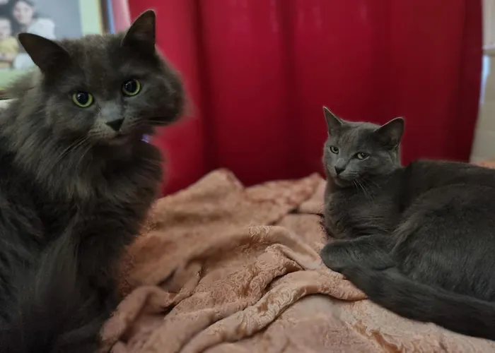 La Demeure De Cathy Bed & Breakfast