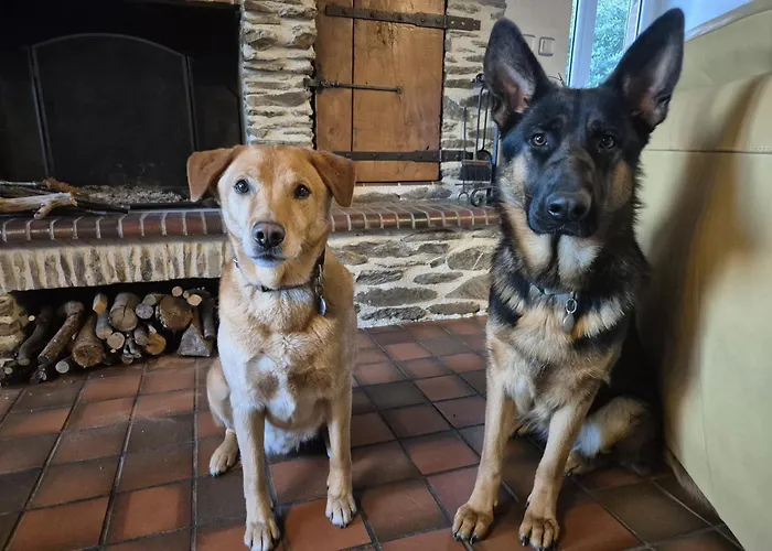 La Demeure De Cathy Bed & Breakfast Saint-Lo